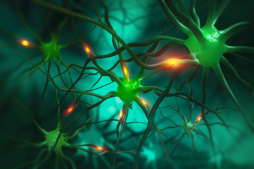redes neuronales